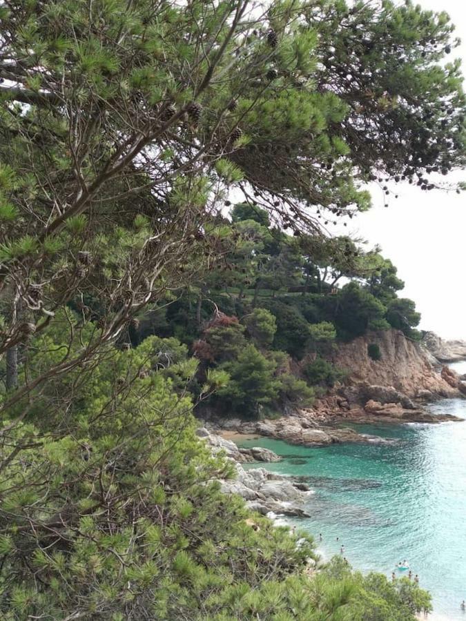 Apartamento Cala Salions, Chalana II Tossa de Mar Exterior foto